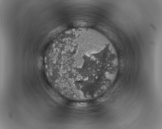 X0000112110361200909011150