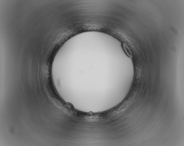 X0000112110362200909011150