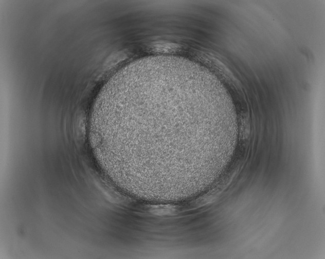 X0000112110363200909011150