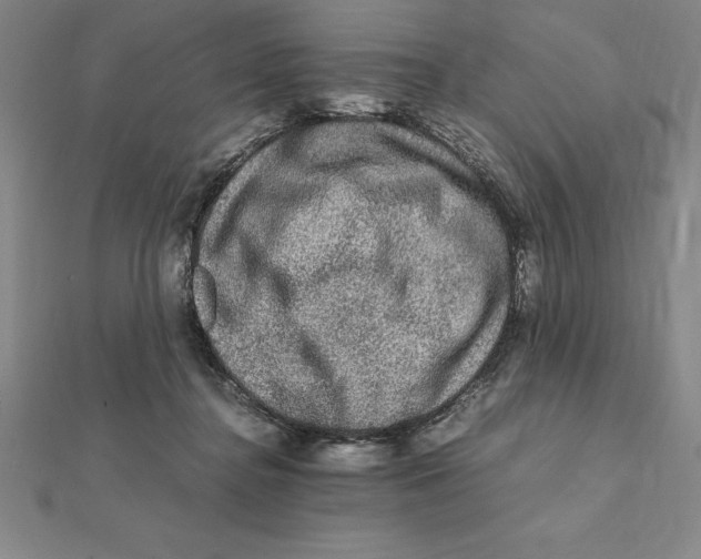 X0000112110364200909011150