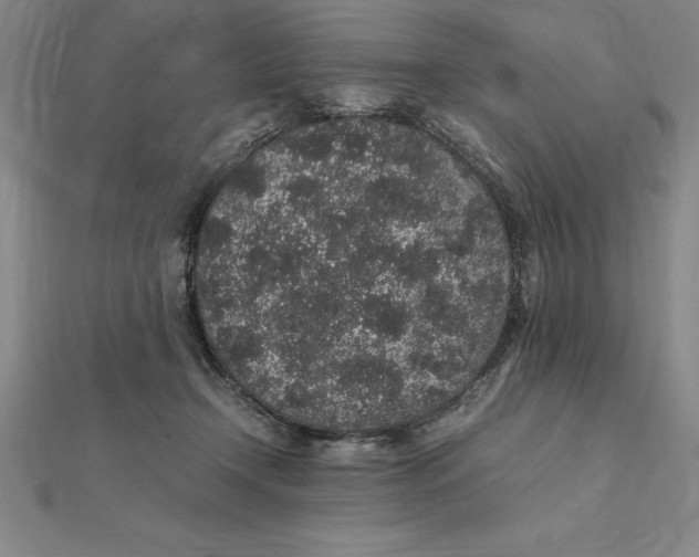 X0000112110366200909011150