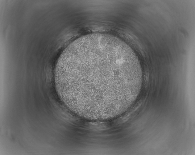 X0000112110367200909011150