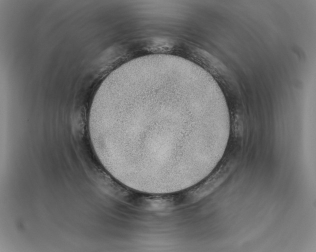 X0000112110370200909011150