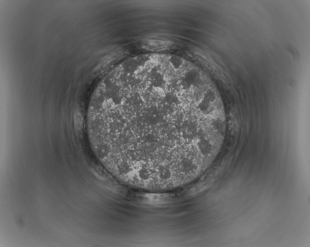 X0000112110371200909011150
