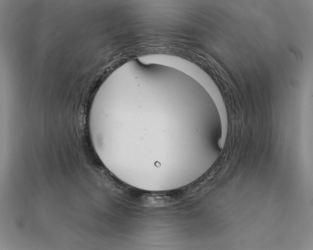 X0000112110372200909011150
