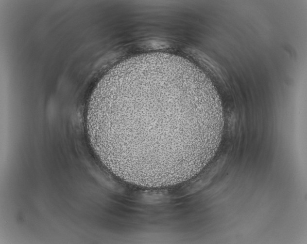X0000112110373200909011151