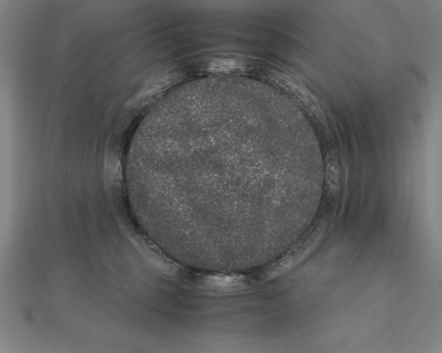 X0000112110375200909011151