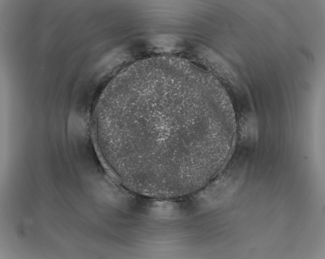 X0000112110376200909011151