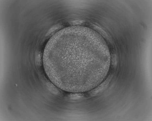 X0000112110378200909011151