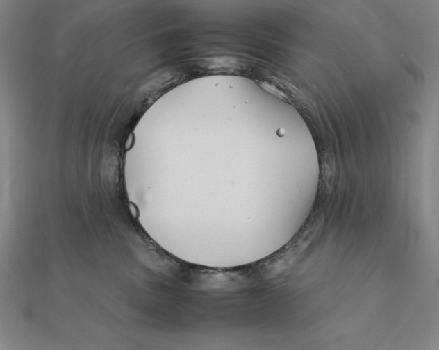 X0000112110379200909011151