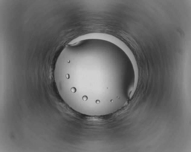 X0000112110380200909011151