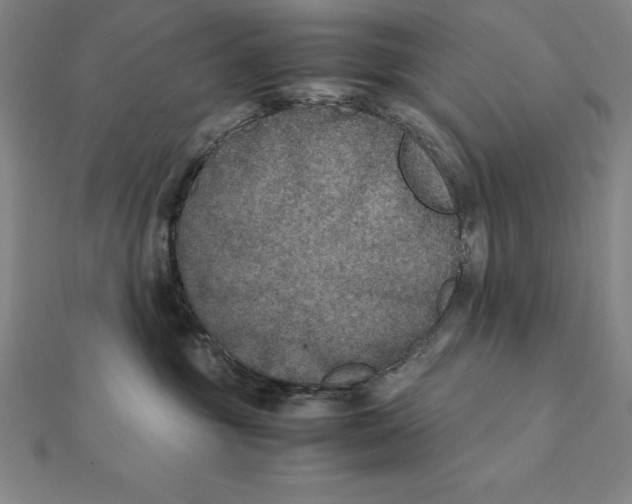 X0000112110381200909011151