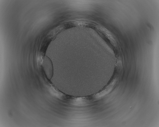 X0000112110382200909011151