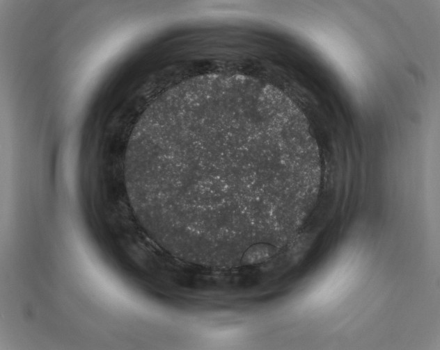 X0000112110383200909011151