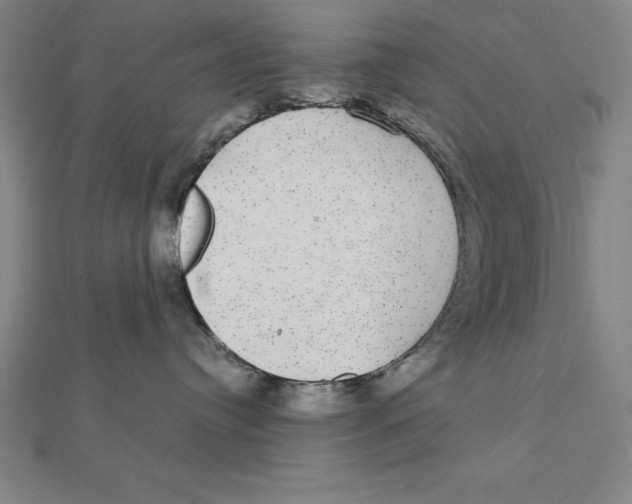 X0000112110384200909011151
