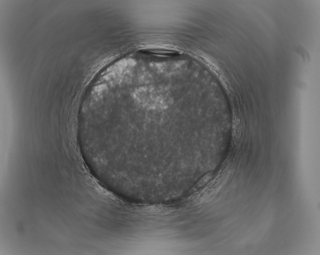 X0000112110385200909011150