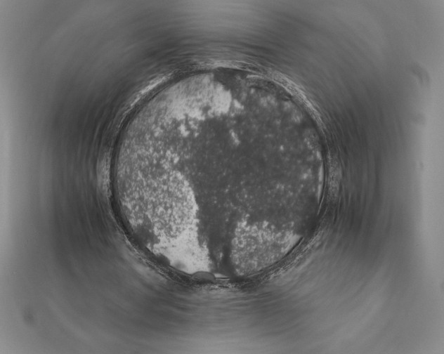 X0000112110386200909011150