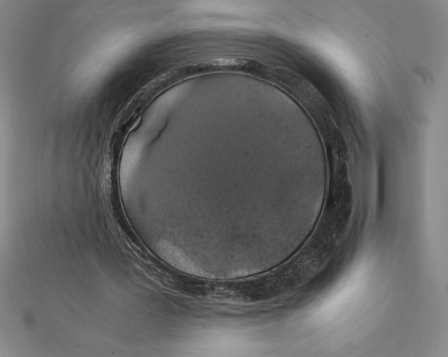 X0000112110387200909011150