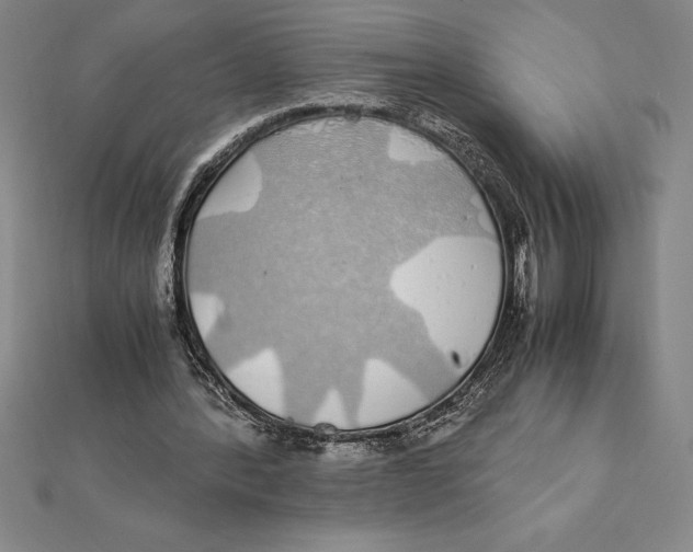X0000112110388200909011150