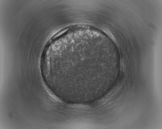 X0000112110389200909011150