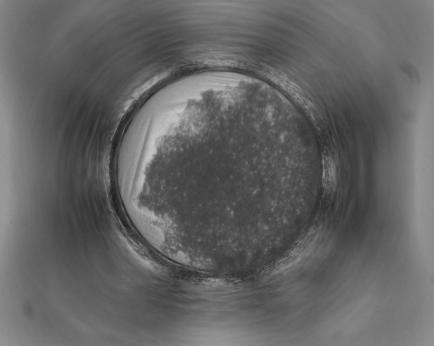 X0000112110390200909011150