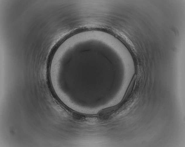 X0000112110391200909011150