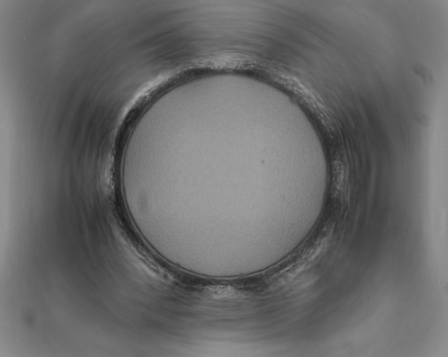 X0000112110392200909011150