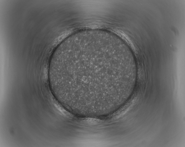 X0000112110393200909011150
