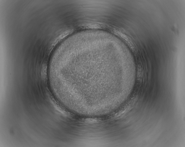 X0000112110394200909011150