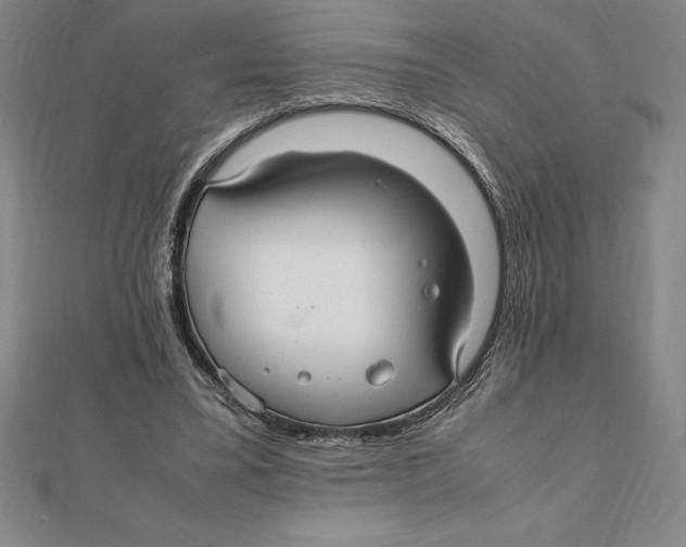 X0000112110395200909011150
