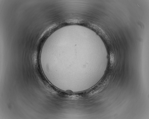 X0000112110396200909011150