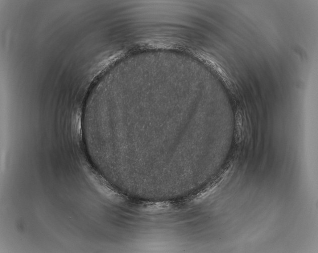 X0000112110398200909011150