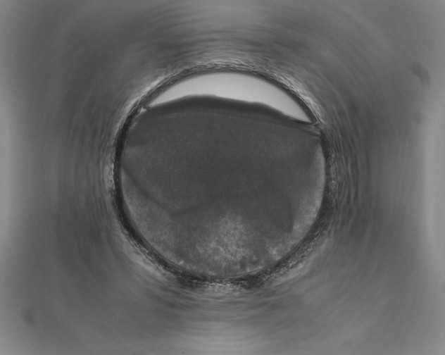X0000112110399200909011150
