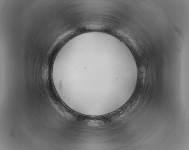 X0000112110400200909011150