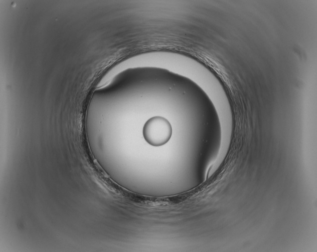 X0000112110401200909011150