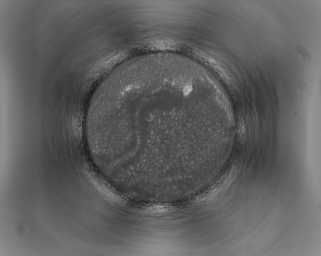 X0000112110402200909011150
