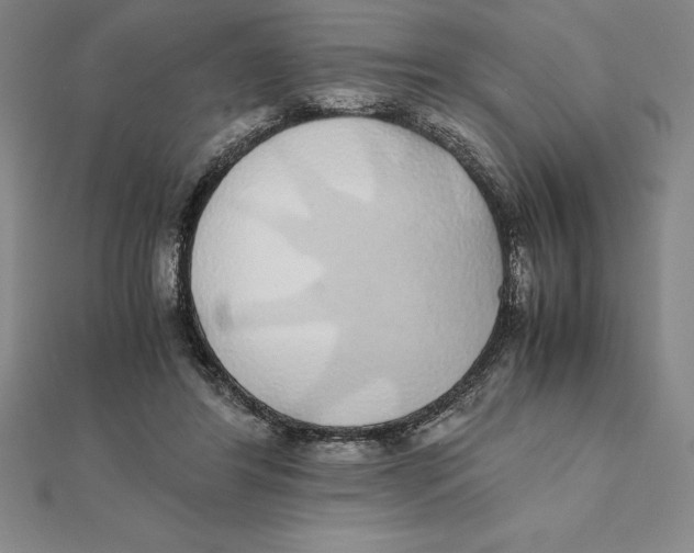 X0000112110404200909011150