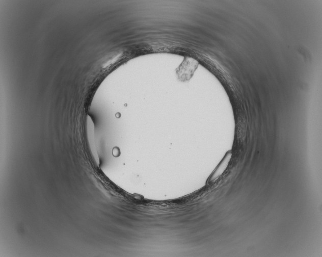 X0000112110405200909011150