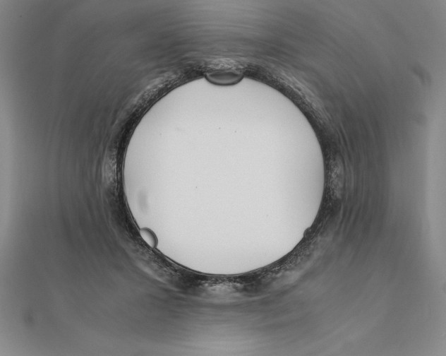 X0000112110407200909011150