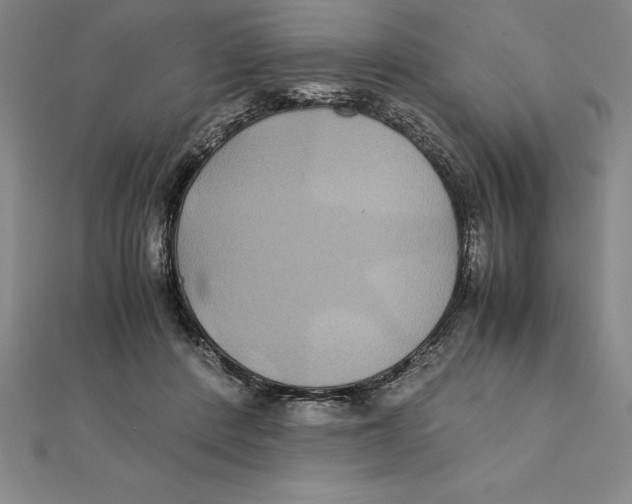 X0000112110408200909011150