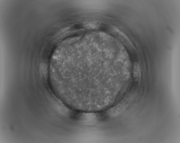 X0000112110409200909011150