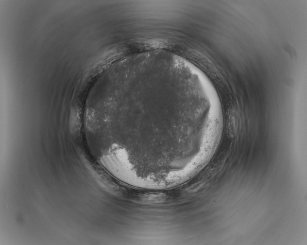 X0000112110410200909011150