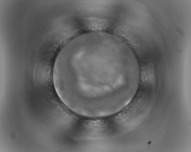 X0000112110411200909011150