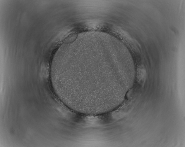 X0000112110413200909011150