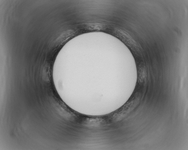 X0000112110414200909011150