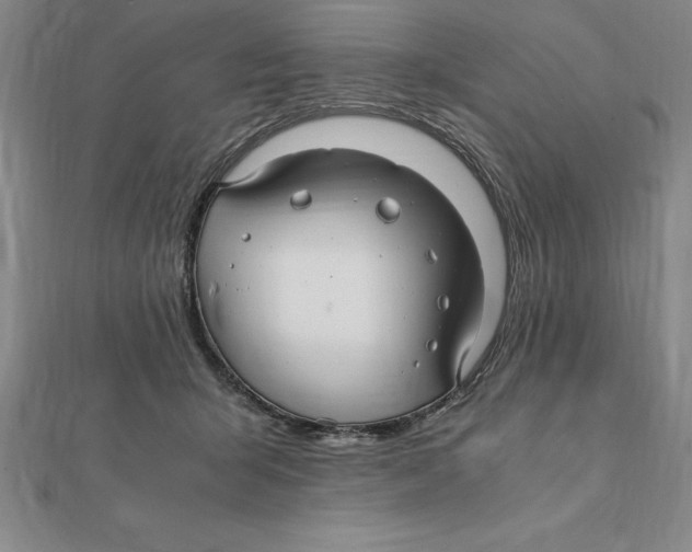 X0000112110415200909011150