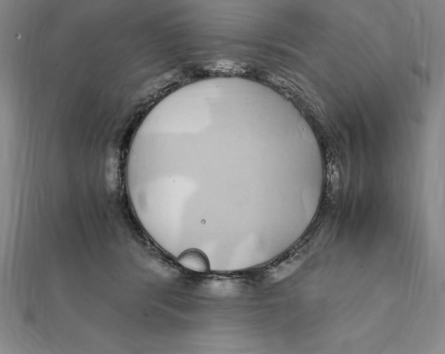 X0000112110416200909011150