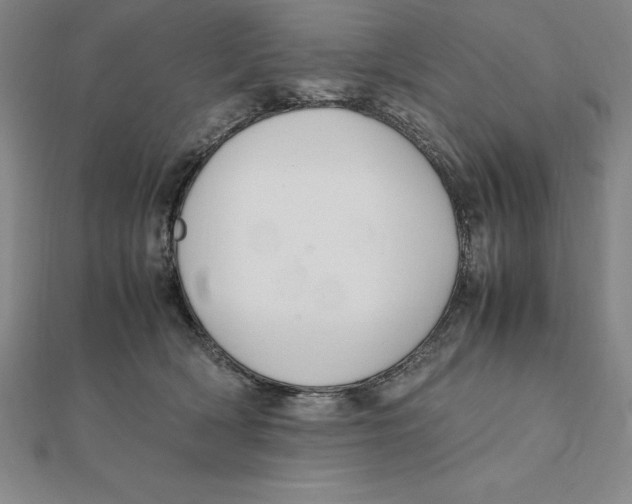 X0000112110418200909011150