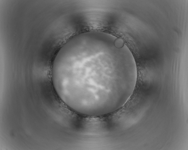 X0000112110419200909011150