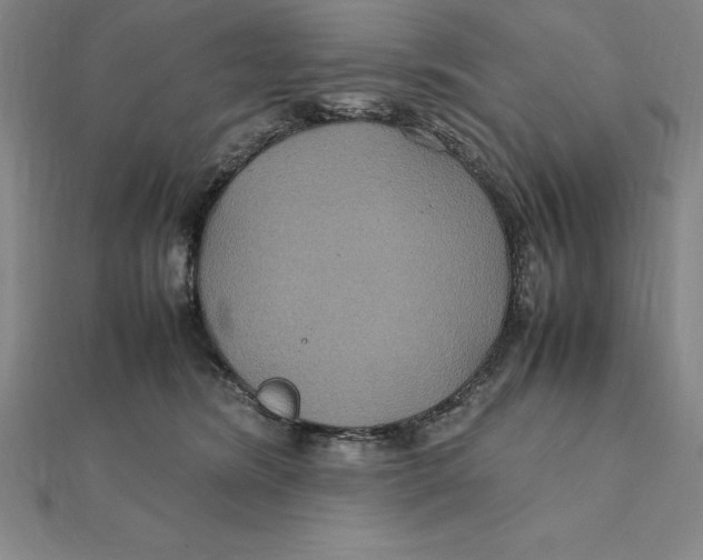 X0000112110420200909011150